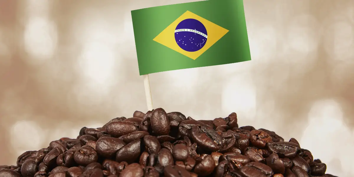 Café brasileiro