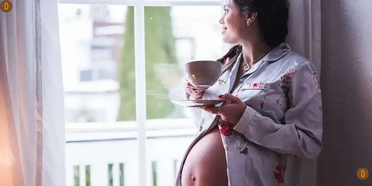 gravida pode tomar cafe