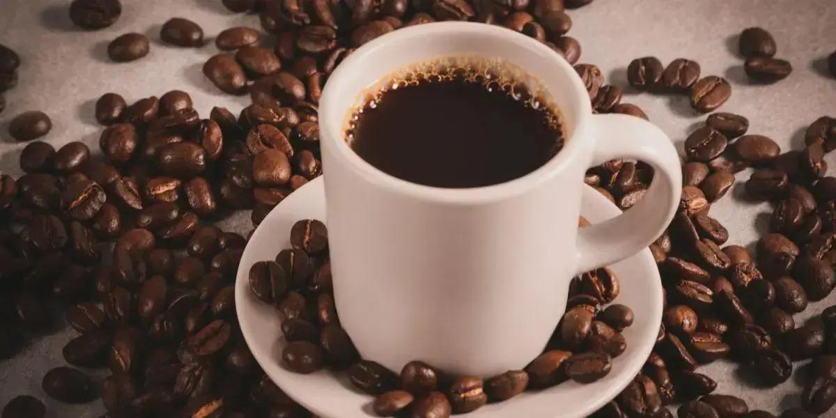 Café especial sem açúcar: Descubra o segredo do sabor puro